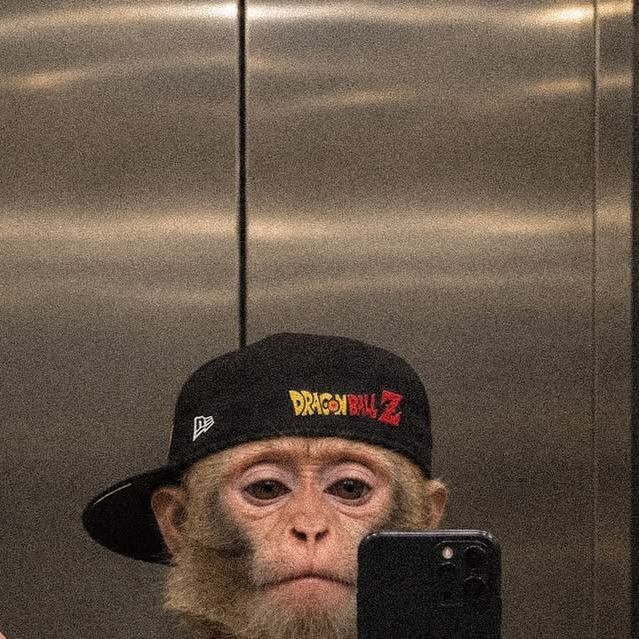 GuliGuliGuli