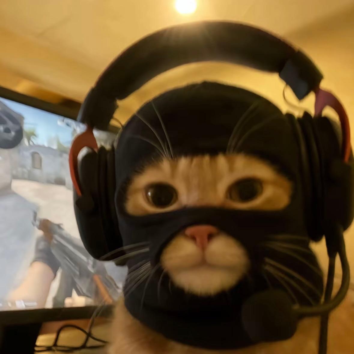 Szwaju666 avatar