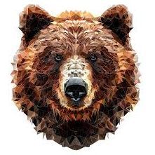 bearsky1