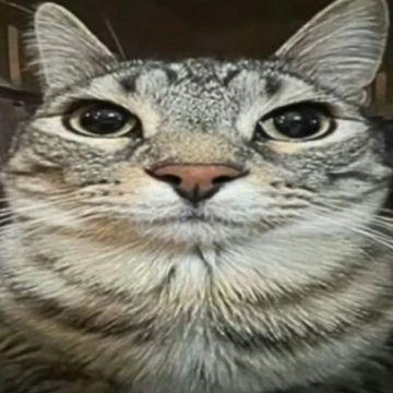 _def1s avatar