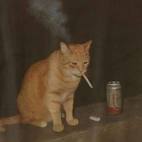 nobliks