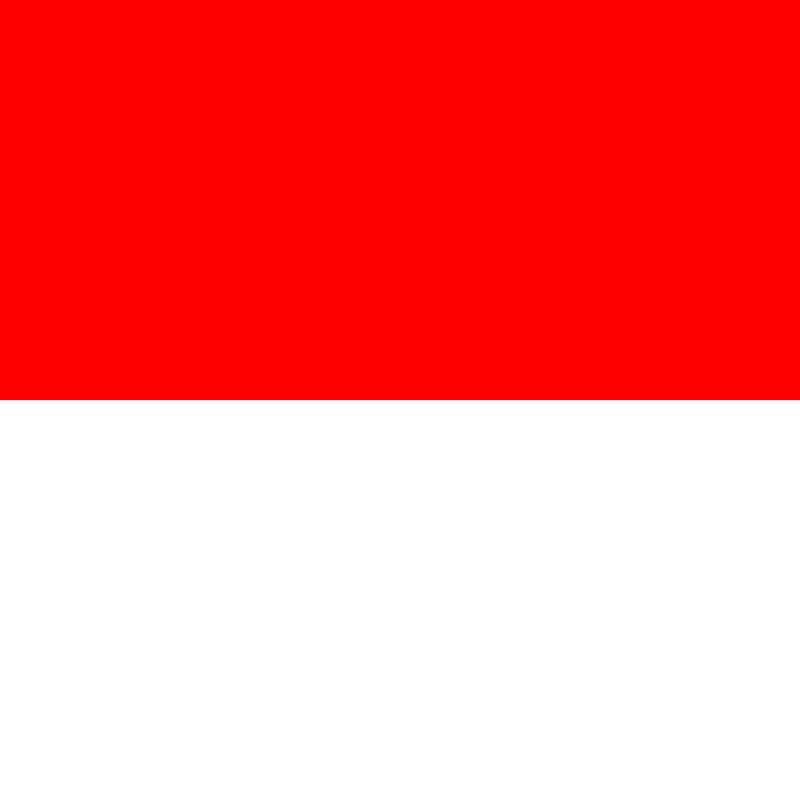 TeamINDO