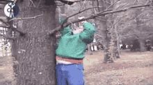 TreeStump