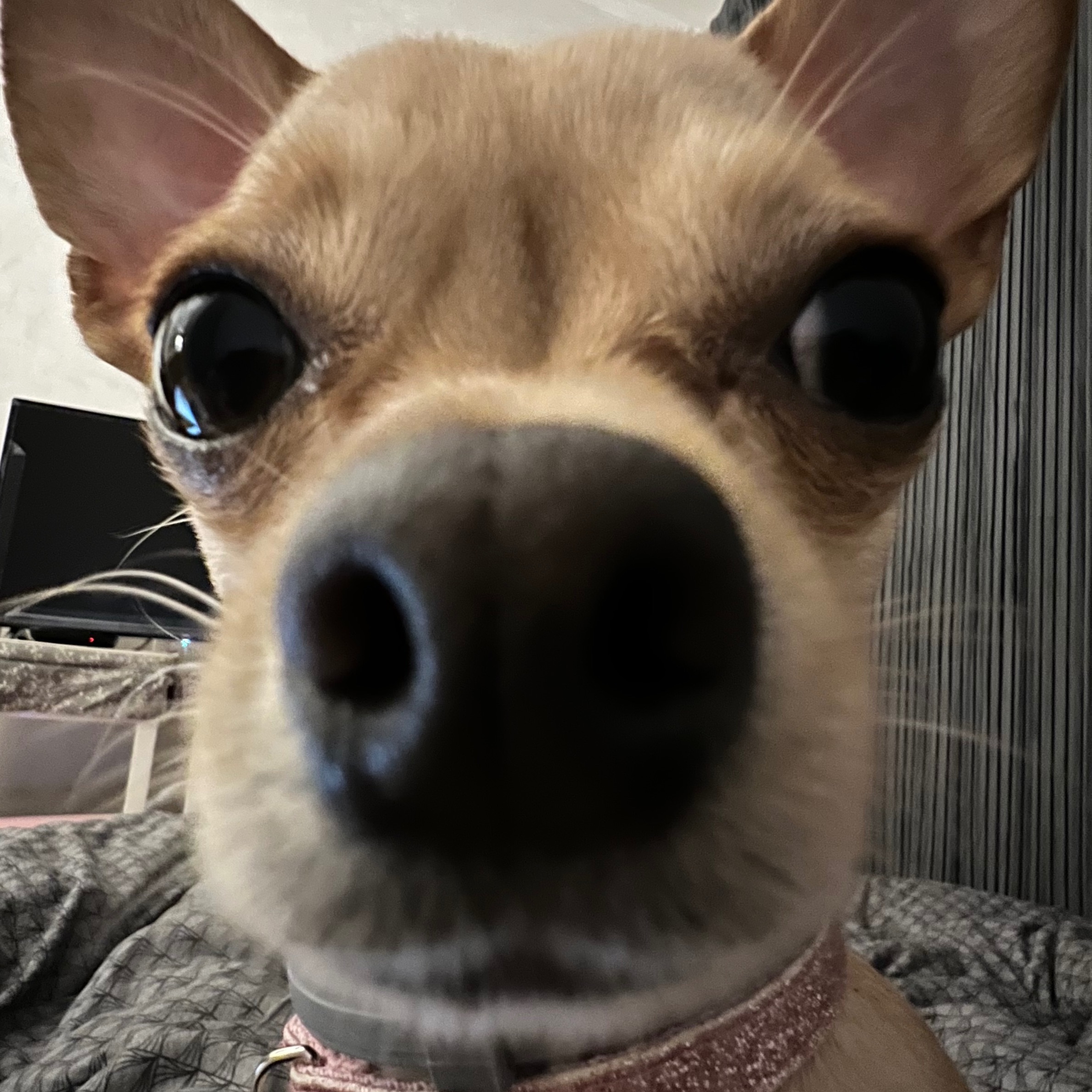 dzonny777
