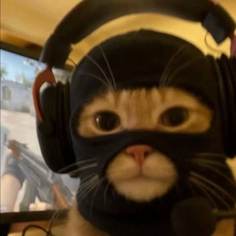 Faceit avatar