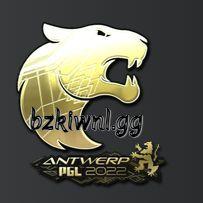 Player bzk-iwnl avatar