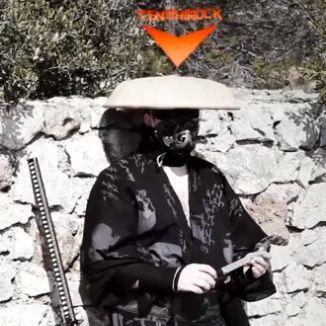 folzen12 avatar