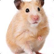 Hamsterman avatar