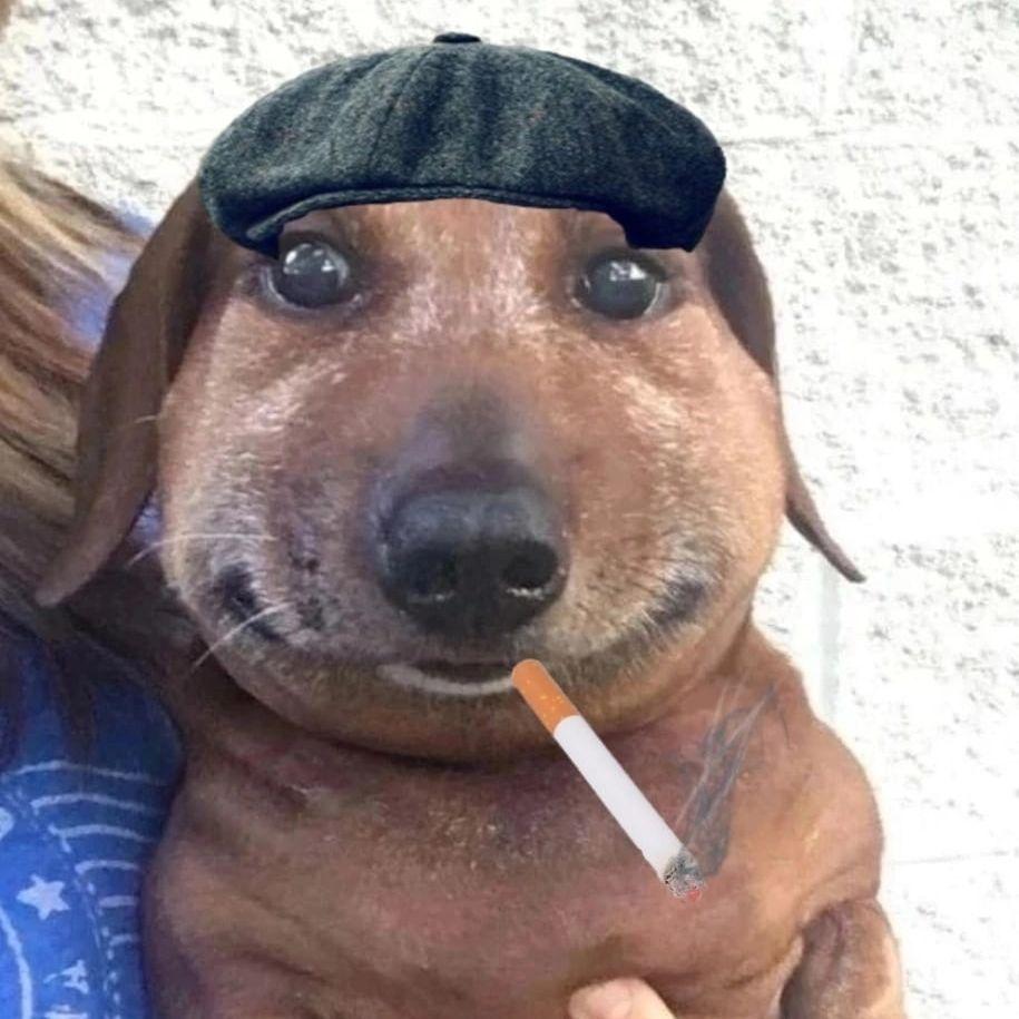 J0J0S avatar