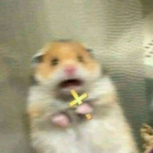TheHamster69