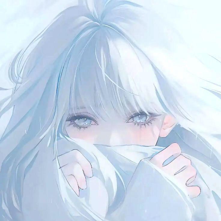 cxntury avatar
