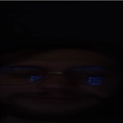 salmonbagel