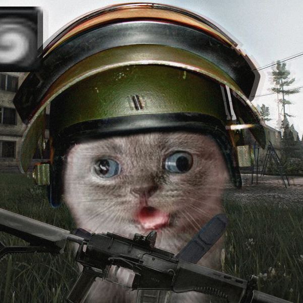 _lynxz_