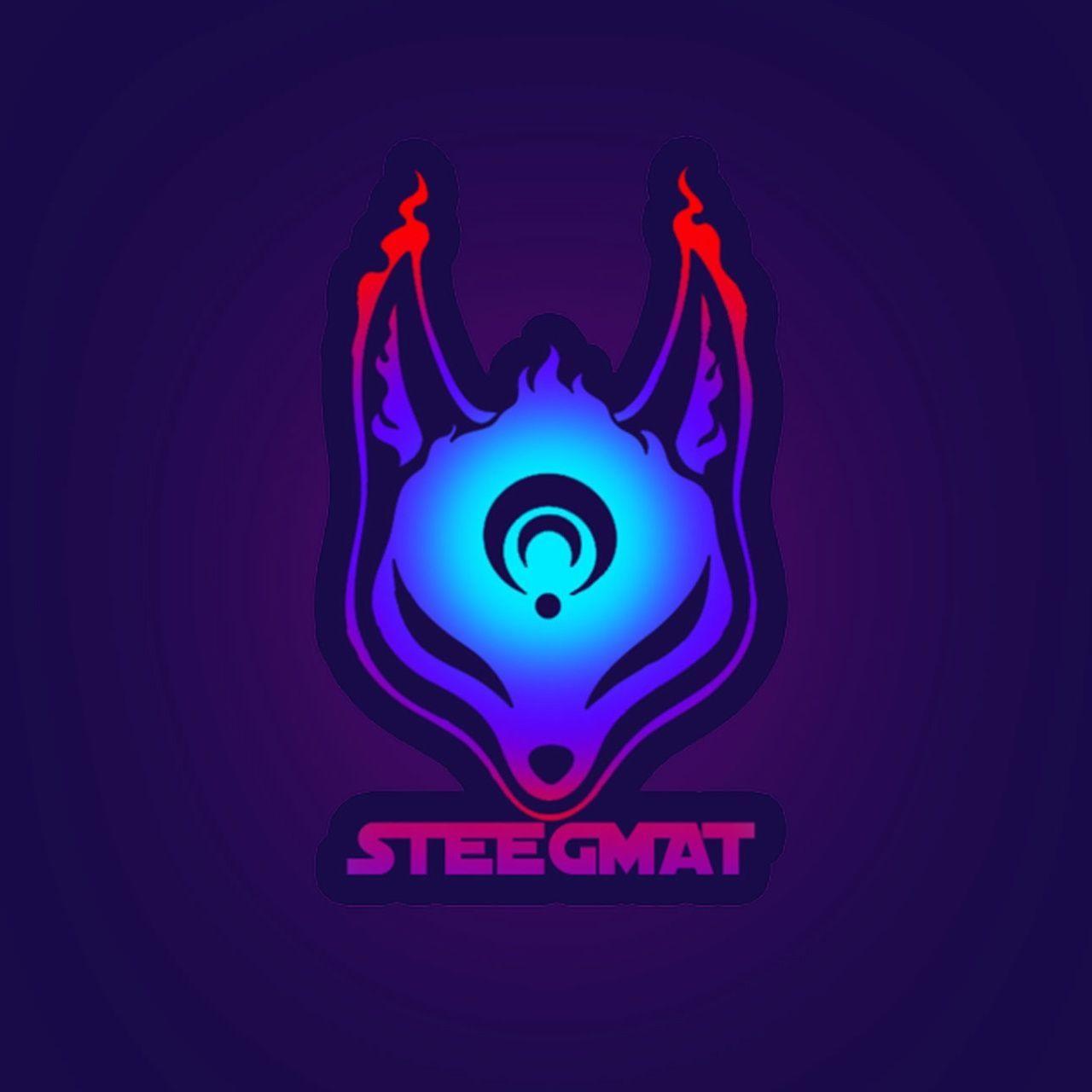 StegMy avatar