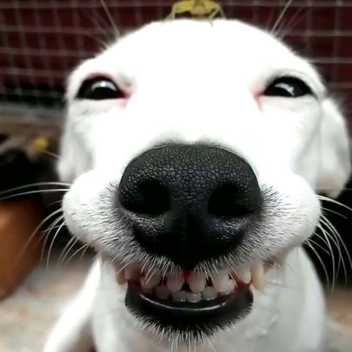 DenLi222 avatar