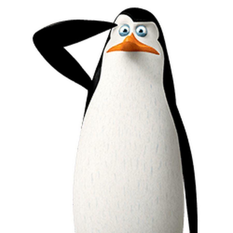 _Novvel_ avatar