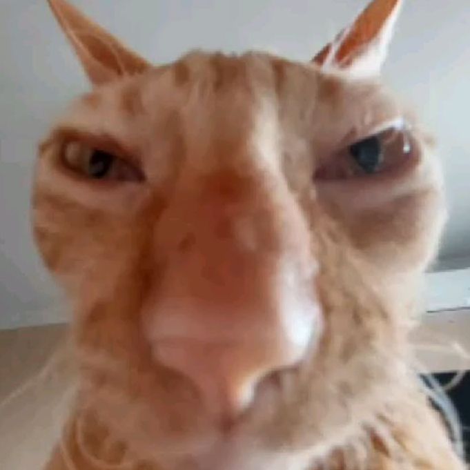 trosok