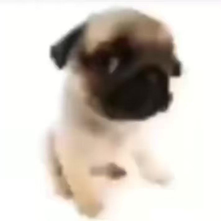Jotinha_Jao