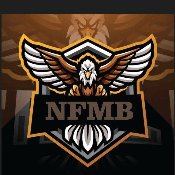 Player NFMB-UBII avatar