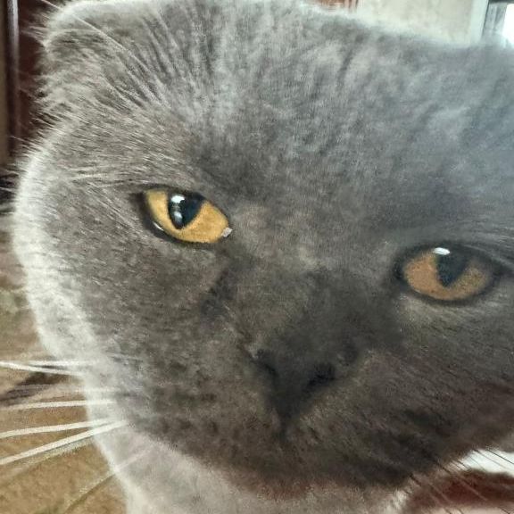 MrSpakoina avatar