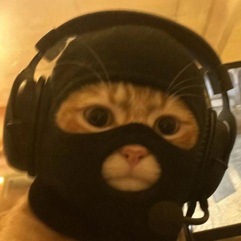 gelitten avatar