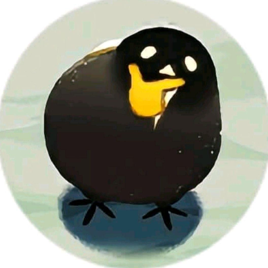 dwMain avatar