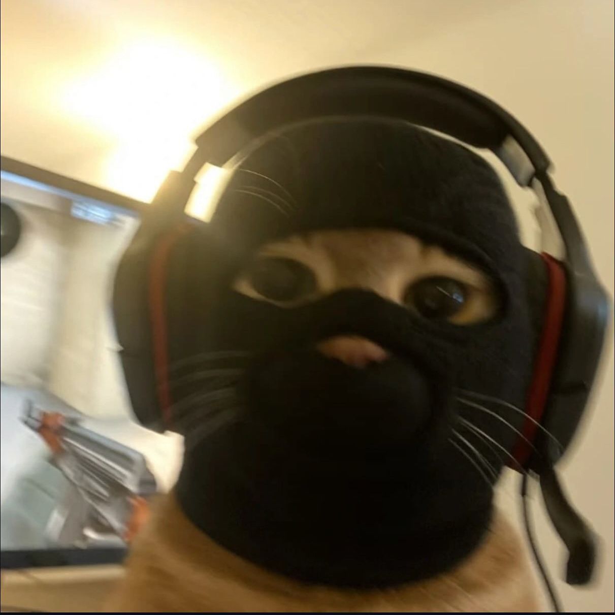 delayzinho