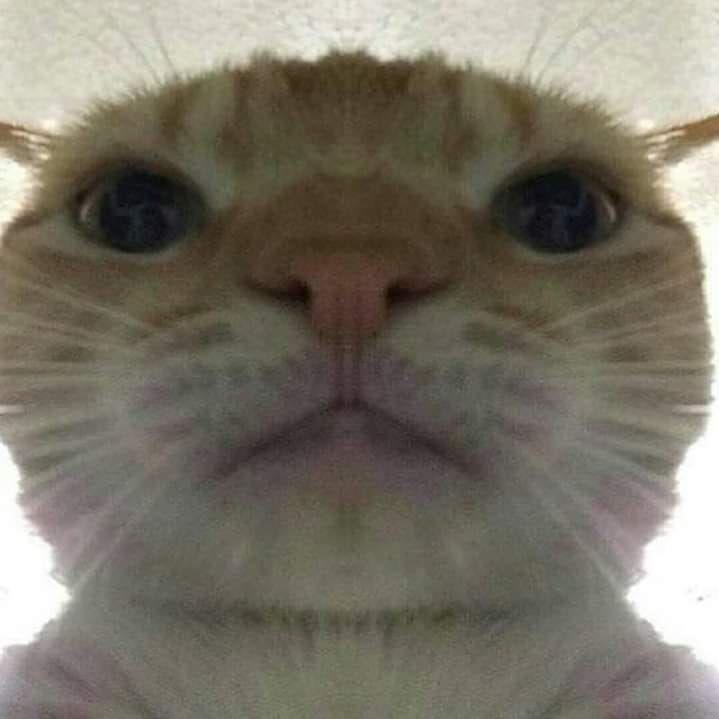 _doNtex_ avatar