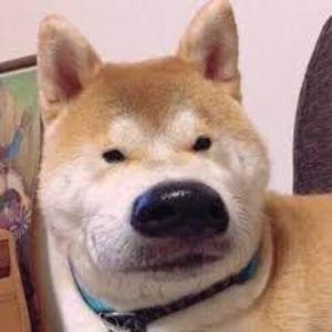 derdsad avatar
