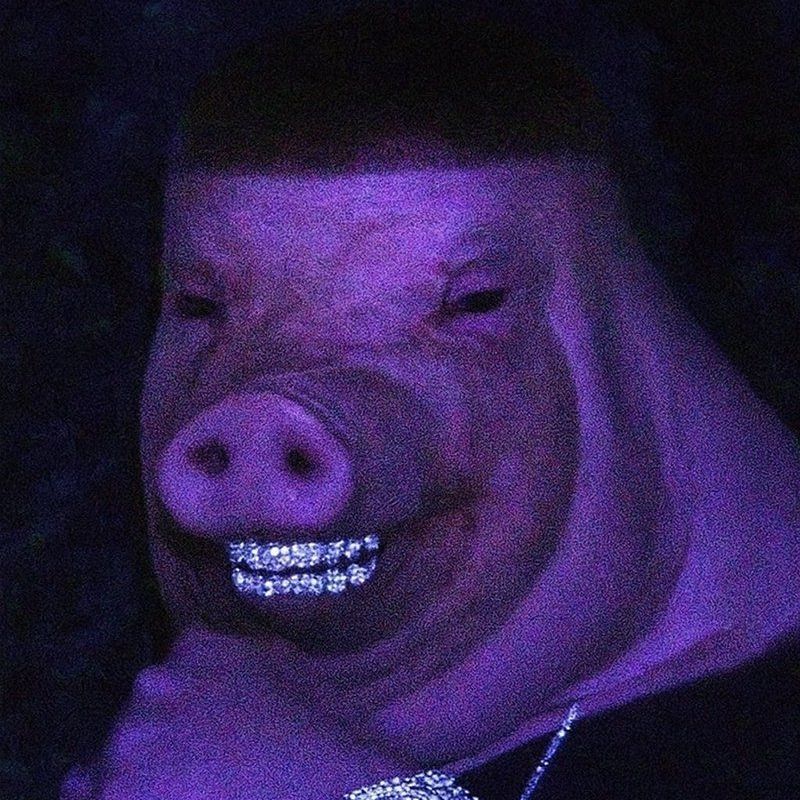 porroybala