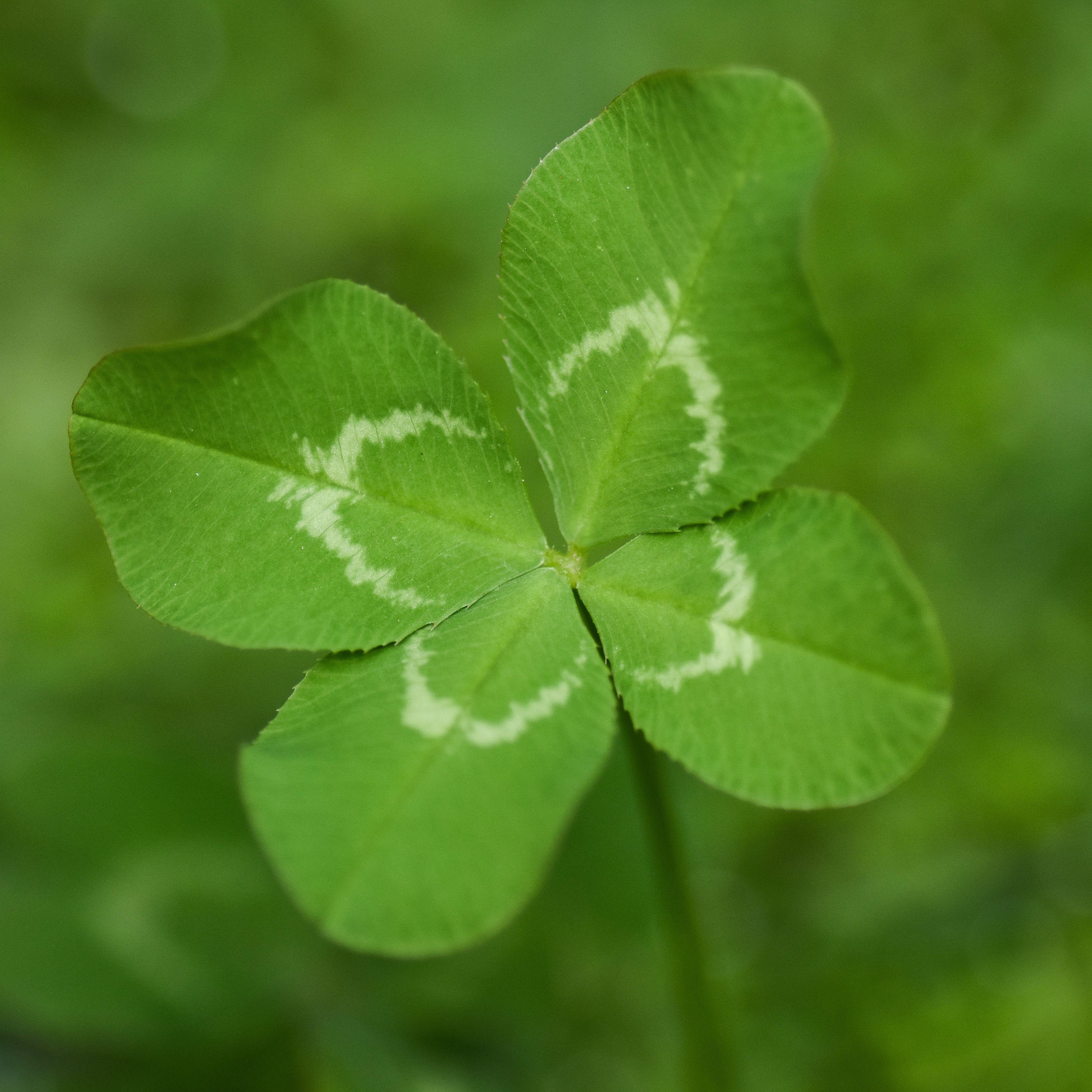 PureLuck89 avatar