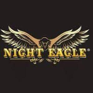 NightEagle4 avatar