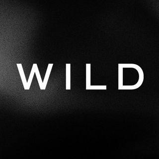 Wildd2h