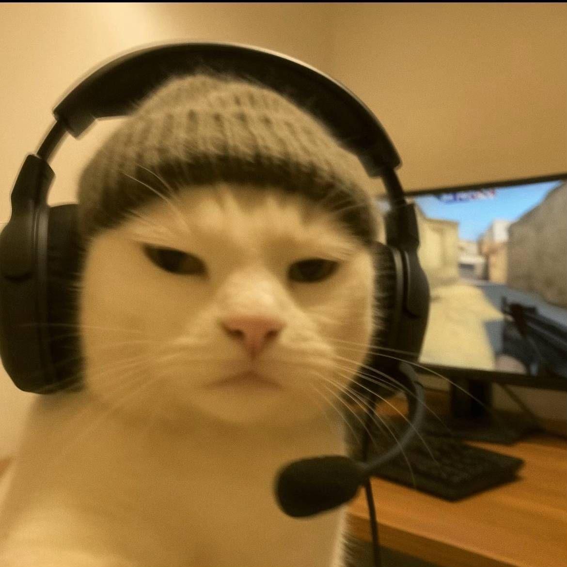 SEM_3 avatar