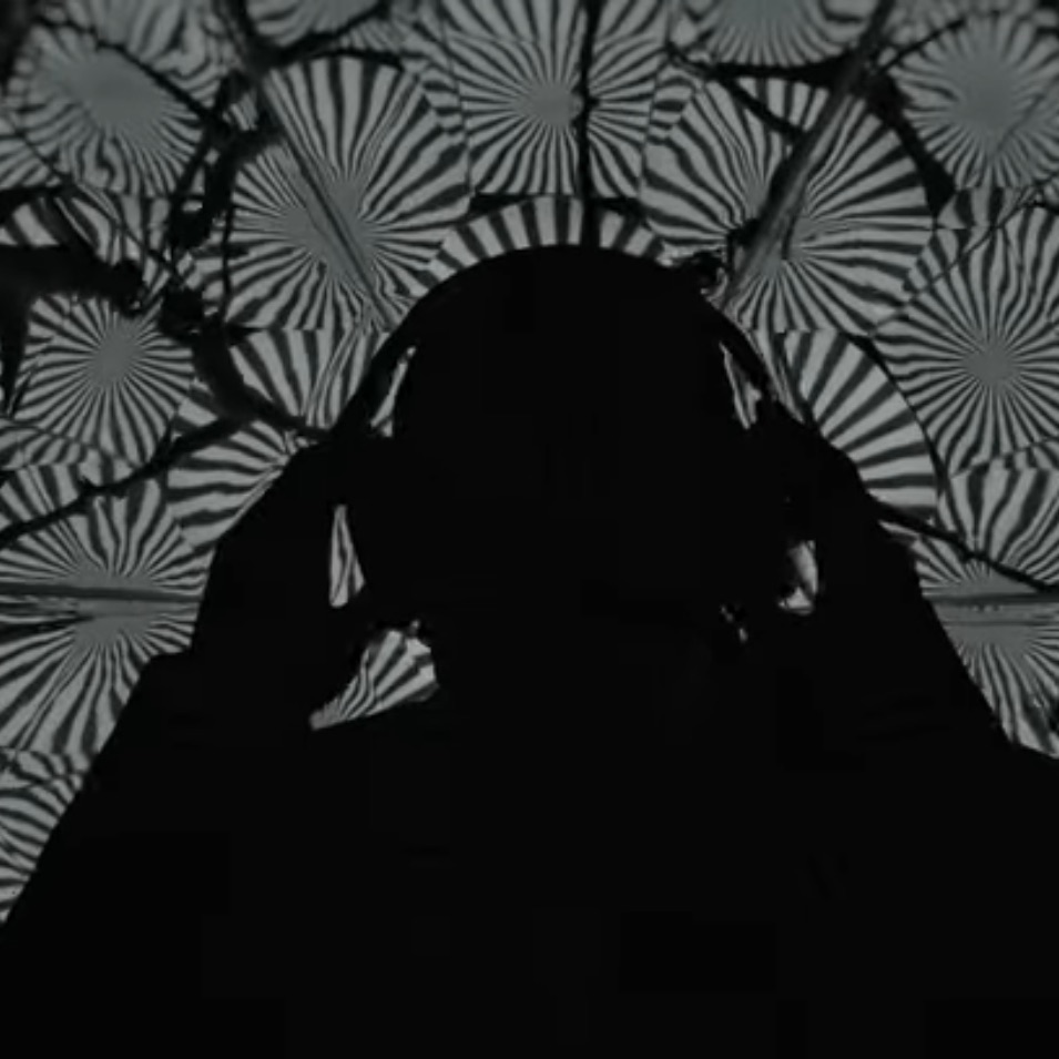 Elav7_