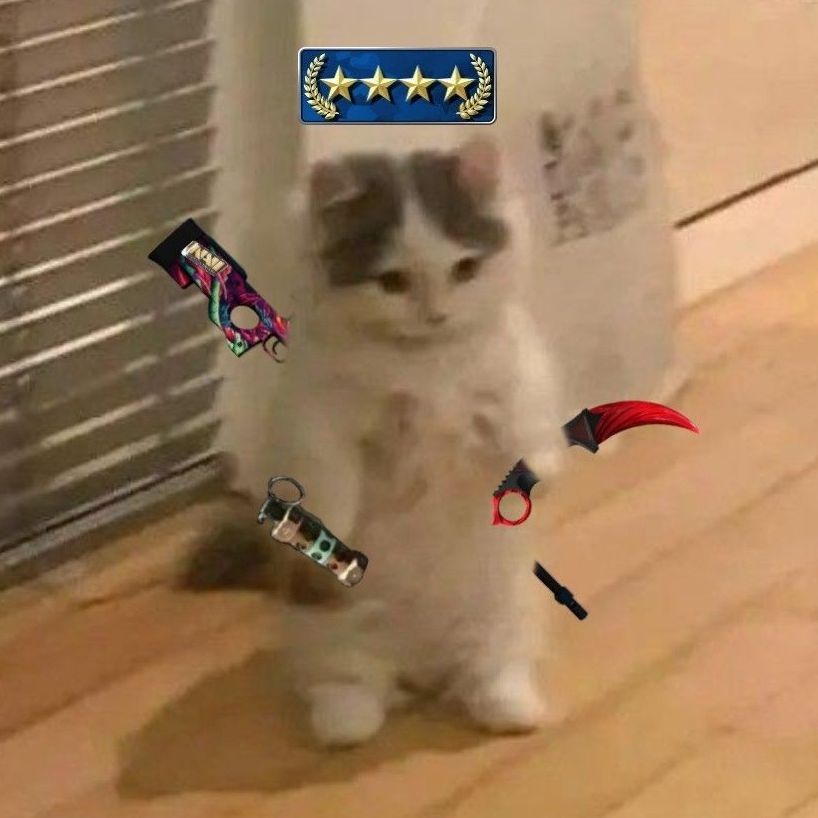 -Damiik-