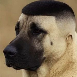 RMRRR
