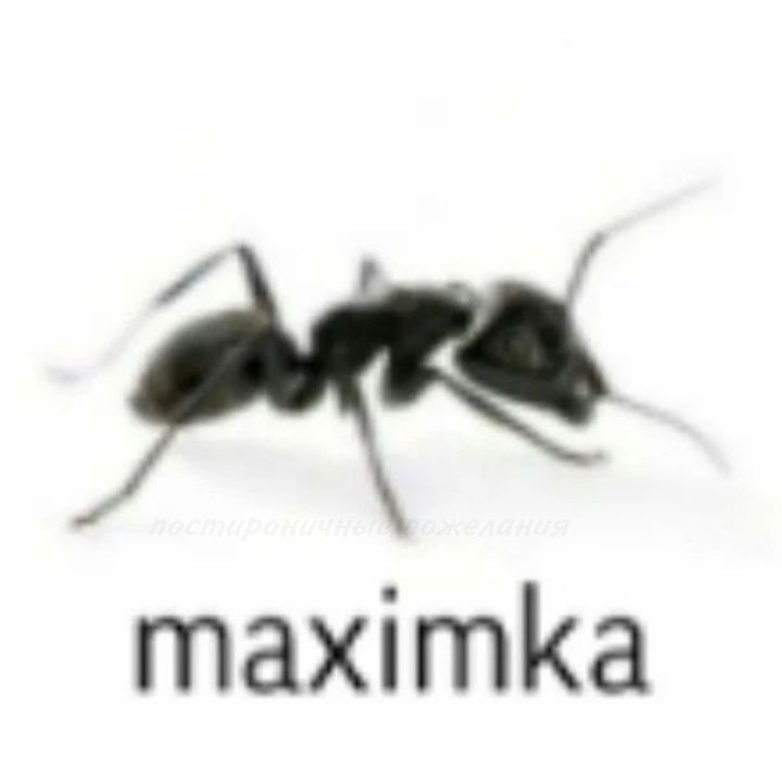 De1etedd avatar