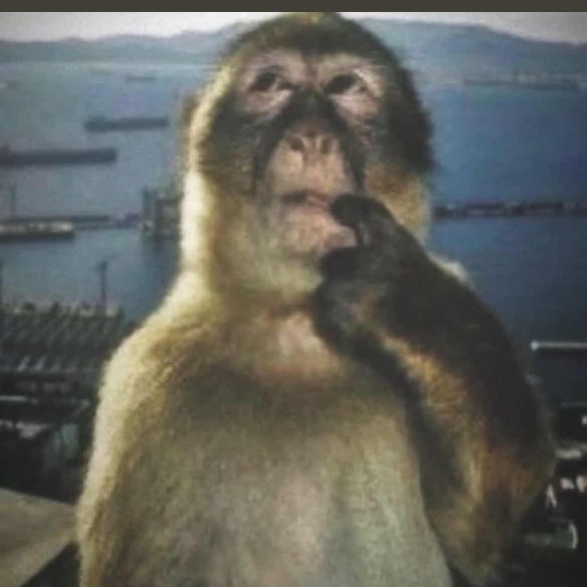 doublepoints