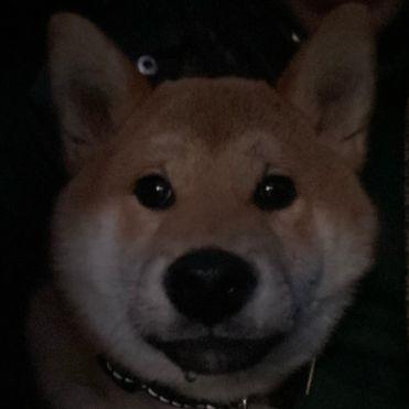 NAMEK666 avatar