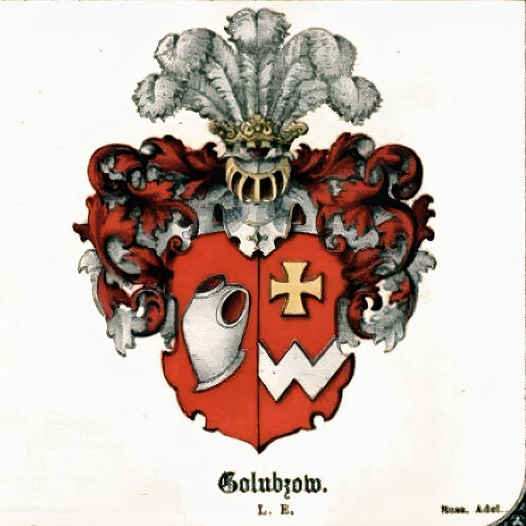 GOLUBTSOV avatar