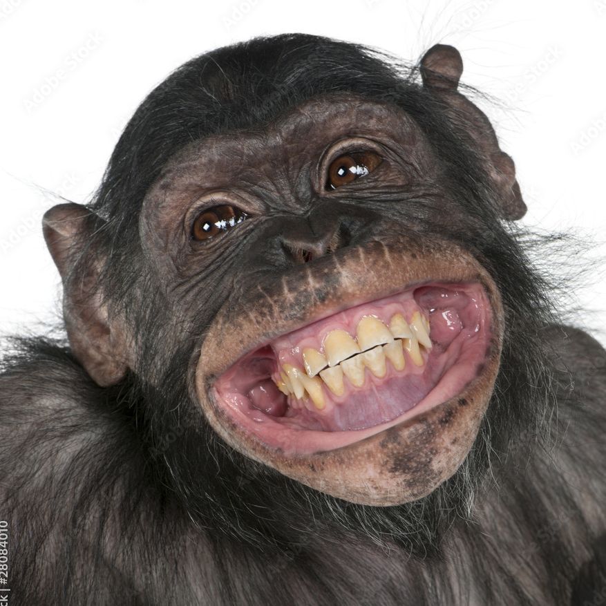 ChinezoSS avatar