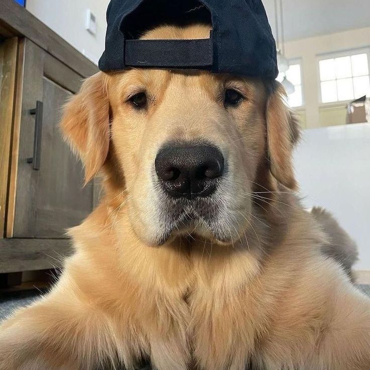 biraegh