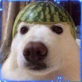 20012805 avatar
