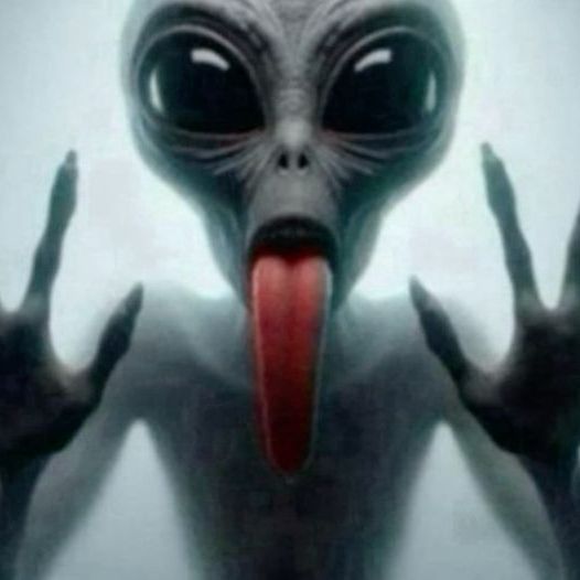 zent1
