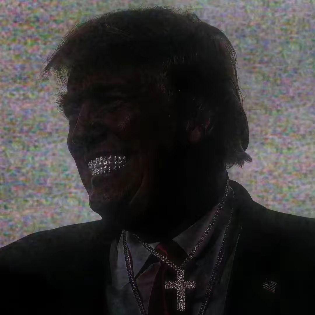 Trump4ELLL avatar