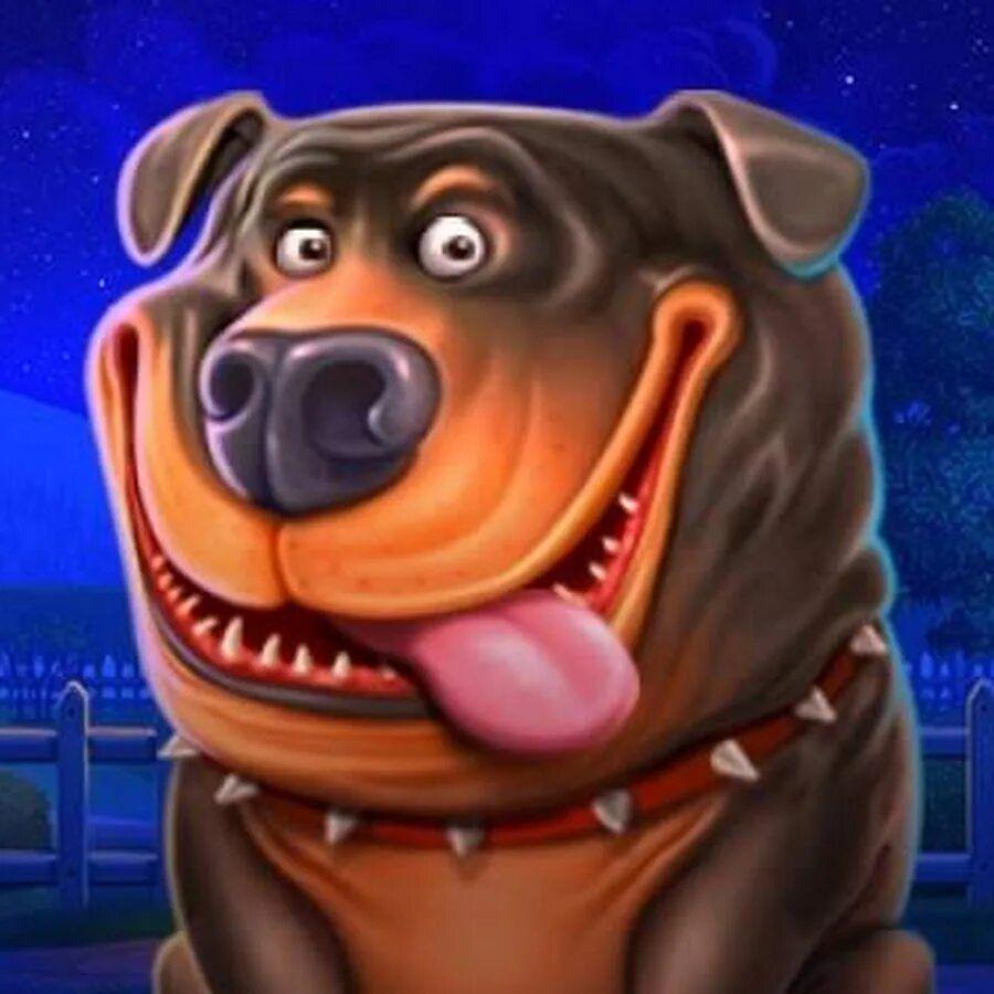 KOPOlLb_PIVA avatar