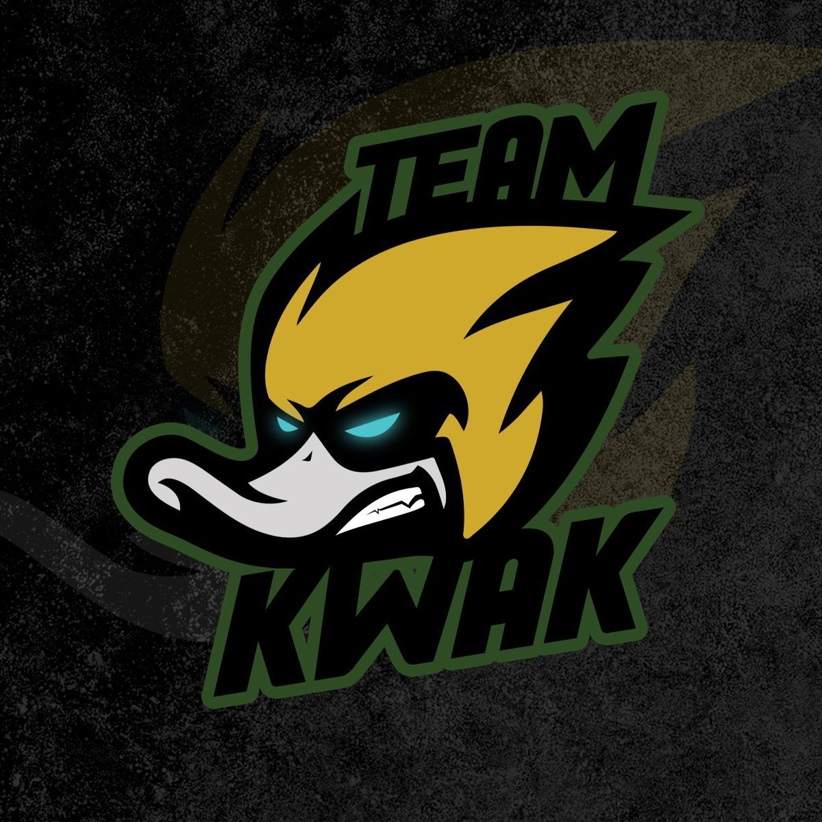 TeamKwak