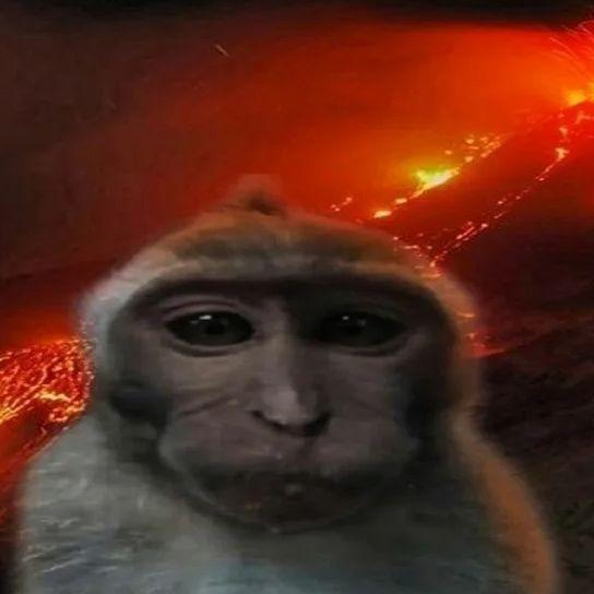 fazonf1x avatar