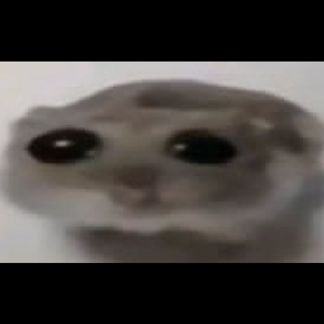 SpringCrab avatar
